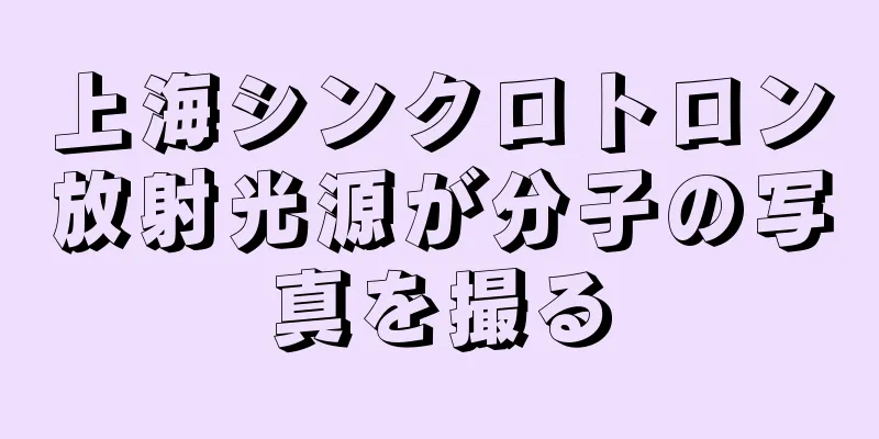 上海シンクロトロン放射光源が分子の写真を撮る