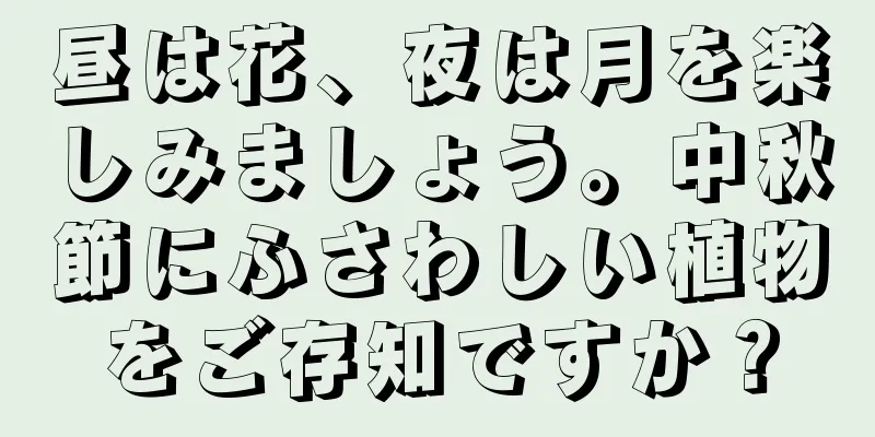 昼は花、夜は月を楽しみましょう。中秋節にふさわしい植物をご存知ですか？