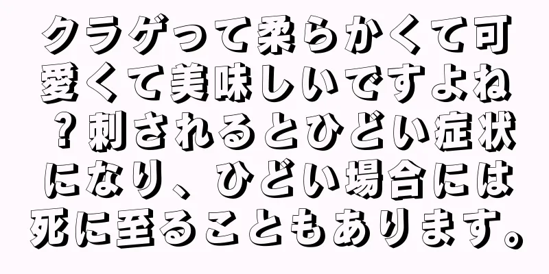 クラゲって柔らかくて可愛くて美味しいですよね？刺されるとひどい症状になり、ひどい場合には死に至ることもあります。