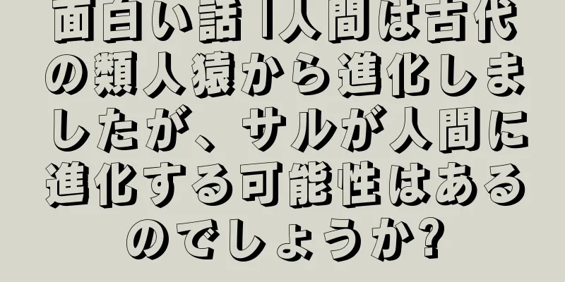 面白い話 |人間は古代の類人猿から進化しましたが、サルが人間に進化する可能性はあるのでしょうか?