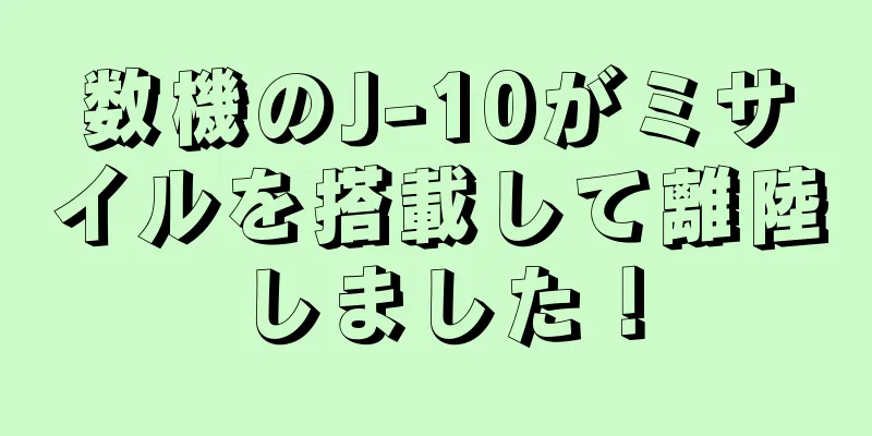 数機のJ-10がミサイルを搭載して離陸しました！
