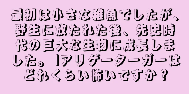 最初は小さな稚魚でしたが、野生に放たれた後、先史時代の巨大な生物に成長しました。 |アリゲーターガーはどれくらい怖いですか？