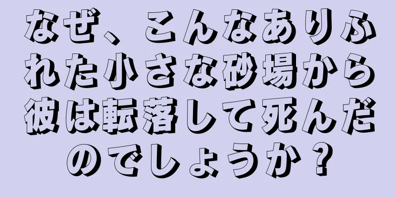 なぜ、こんなありふれた小さな砂場から彼は転落して死んだのでしょうか？