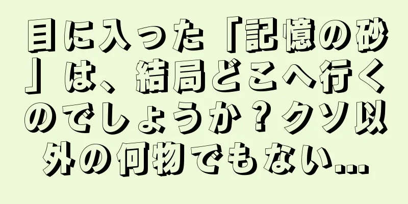 目に入った「記憶の砂」は、結局どこへ行くのでしょうか？クソ以外の何物でもない...