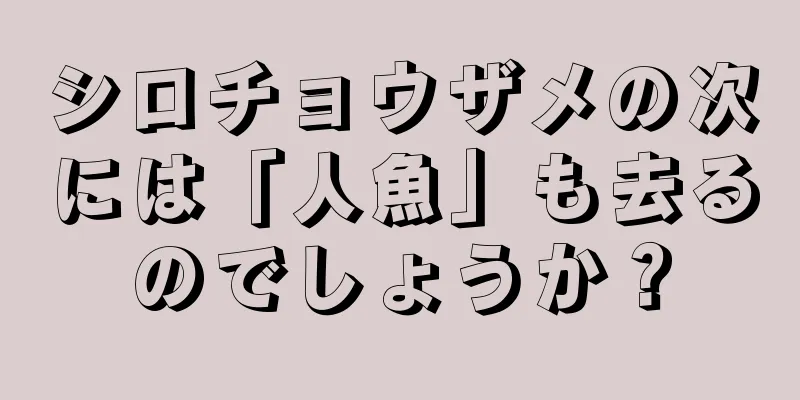 シロチョウザメの次には「人魚」も去るのでしょうか？