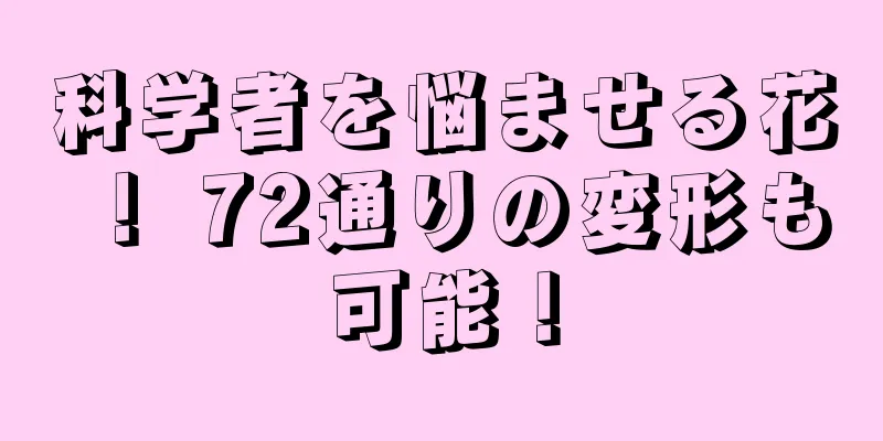 科学者を悩ませる花！ 72通りの変形も可能！