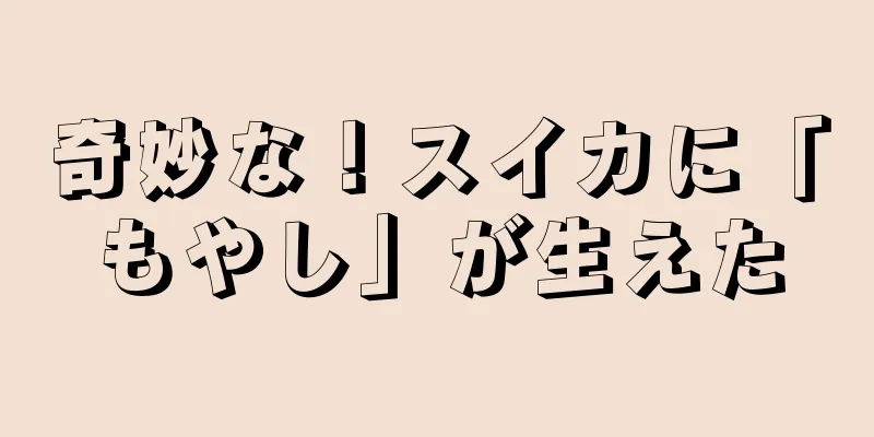 奇妙な！スイカに「もやし」が生えた