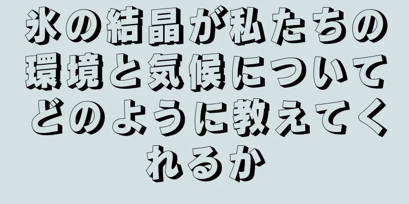 氷の結晶が私たちの環境と気候についてどのように教えてくれるか