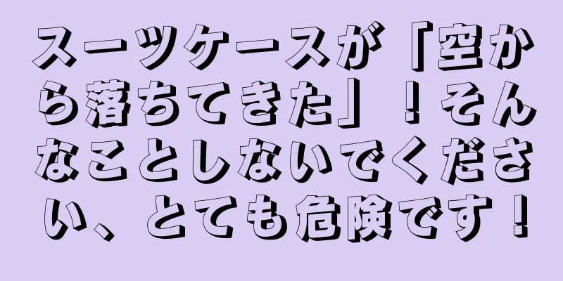 スーツケースが「空から落ちてきた」！そんなことしないでください、とても危険です！