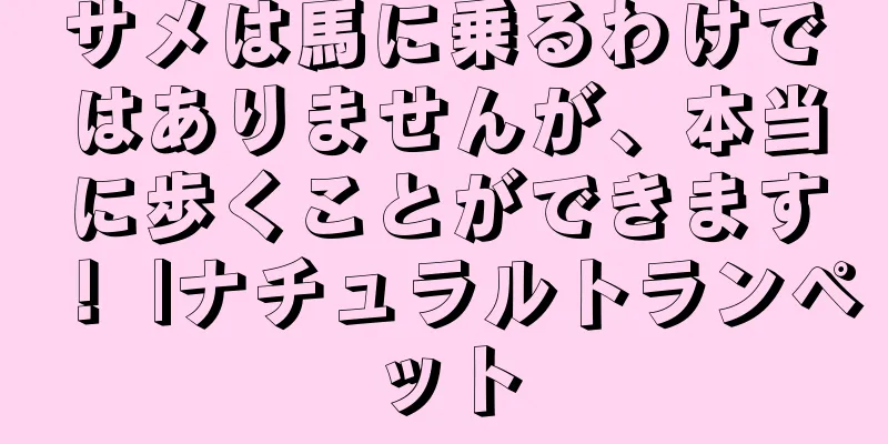 サメは馬に乗るわけではありませんが、本当に歩くことができます！ |ナチュラルトランペット