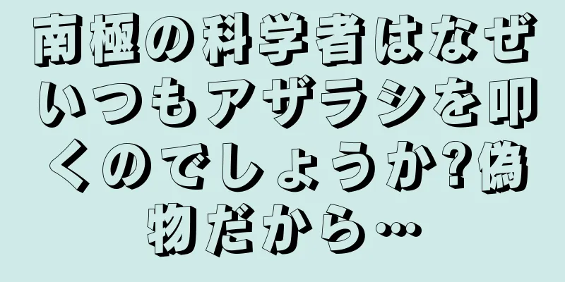 南極の科学者はなぜいつもアザラシを叩くのでしょうか?偽物だから…
