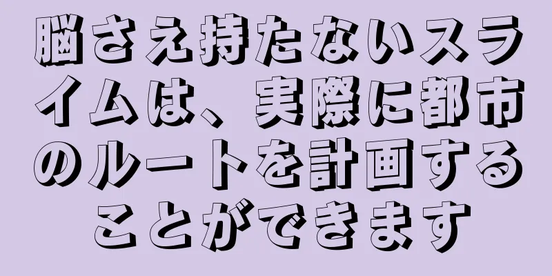 脳さえ持たないスライムは、実際に都市のルートを計画することができます