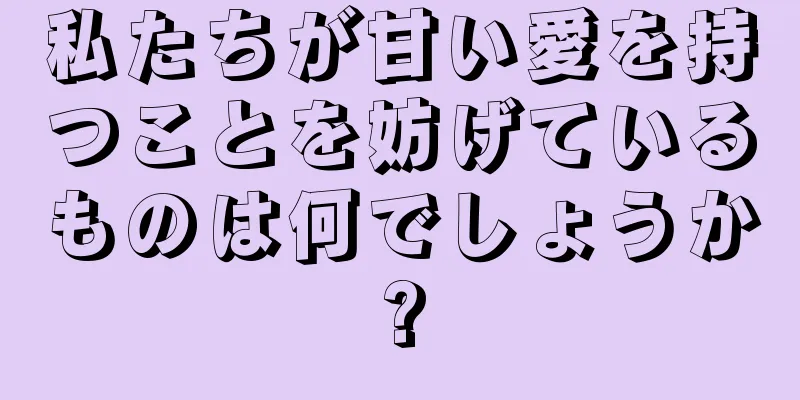 私たちが甘い愛を持つことを妨げているものは何でしょうか?