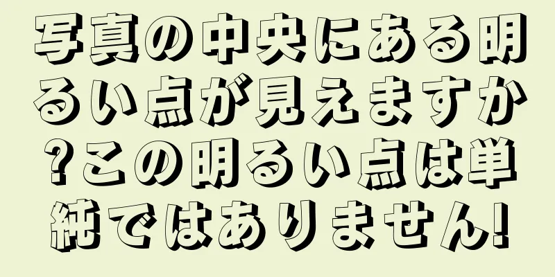 写真の中央にある明るい点が見えますか?この明るい点は単純ではありません!