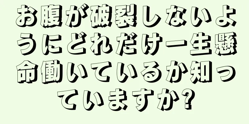 お腹が破裂しないようにどれだけ一生懸命働いているか知っていますか?