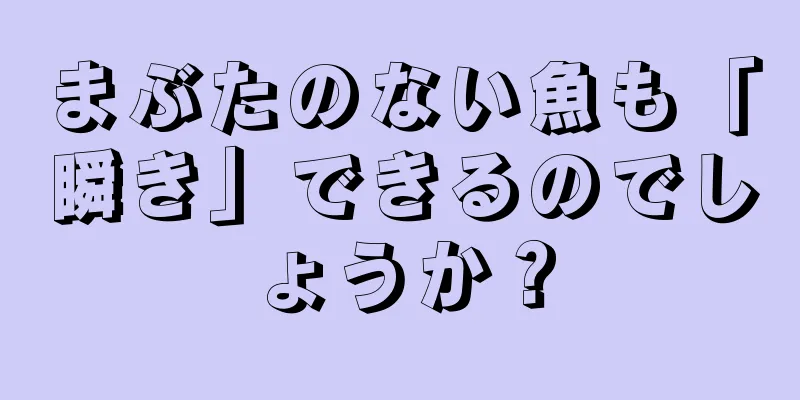 まぶたのない魚も「瞬き」できるのでしょうか？