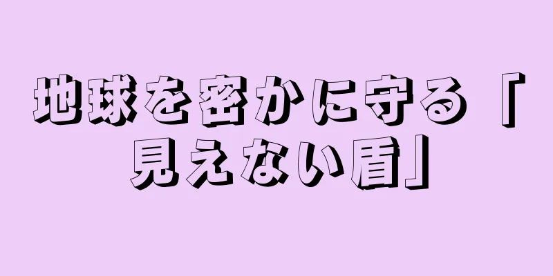 地球を密かに守る「見えない盾」
