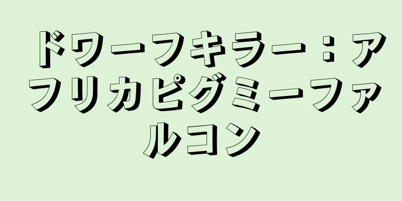 ドワーフキラー：アフリカピグミーファルコン