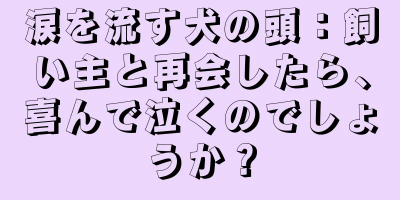 涙を流す犬の頭：飼い主と再会したら、喜んで泣くのでしょうか？