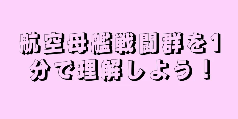 航空母艦戦闘群を1分で理解しよう！