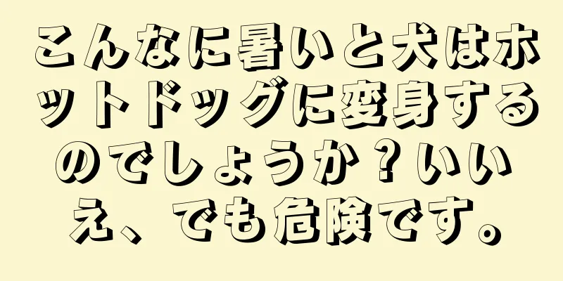 こんなに暑いと犬はホットドッグに変身するのでしょうか？いいえ、でも危険です。