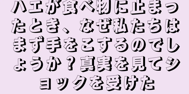 ハエが食べ物に止まったとき、なぜ私たちはまず手をこするのでしょうか？真実を見てショックを受けた
