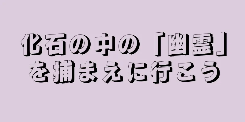 化石の中の「幽霊」を捕まえに行こう