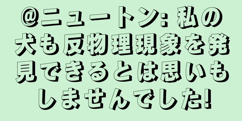 @ニュートン: 私の犬も反物理現象を発見できるとは思いもしませんでした!