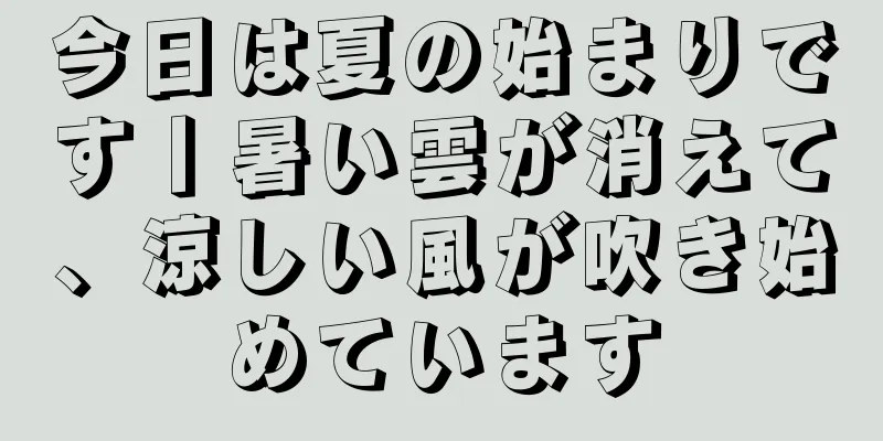 今日は夏の始まりです丨暑い雲が消えて、涼しい風が吹き始めています