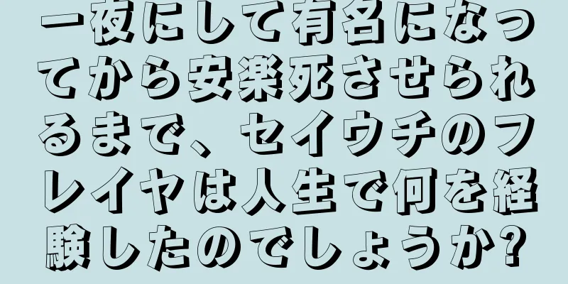 一夜にして有名になってから安楽死させられるまで、セイウチのフレイヤは人生で何を経験したのでしょうか?