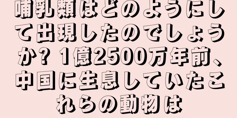 哺乳類はどのようにして出現したのでしょうか? 1億2500万年前、中国に生息していたこれらの動物は