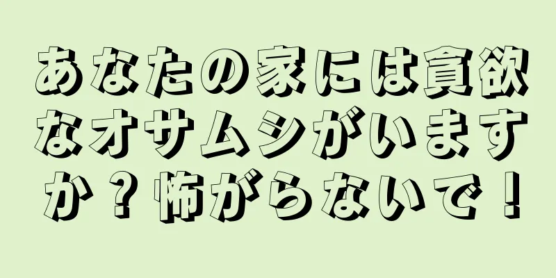 あなたの家には貪欲なオサムシがいますか？怖がらないで！