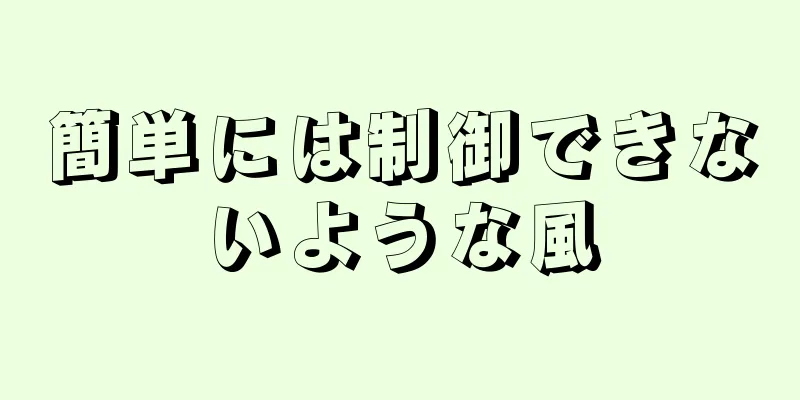 簡単には制御できないような風