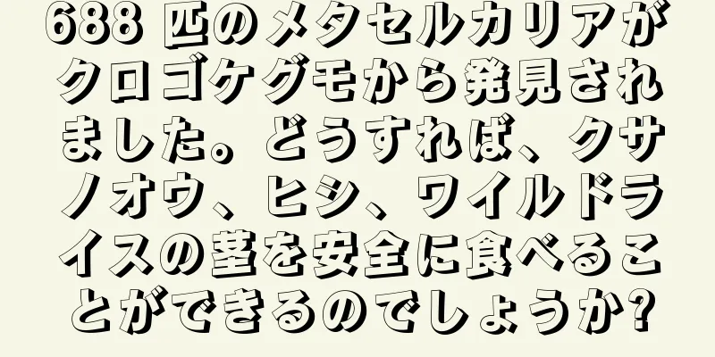 688 匹のメタセルカリアがクロゴケグモから発見されました。どうすれば、クサノオウ、ヒシ、ワイルドライスの茎を安全に食べることができるのでしょうか?