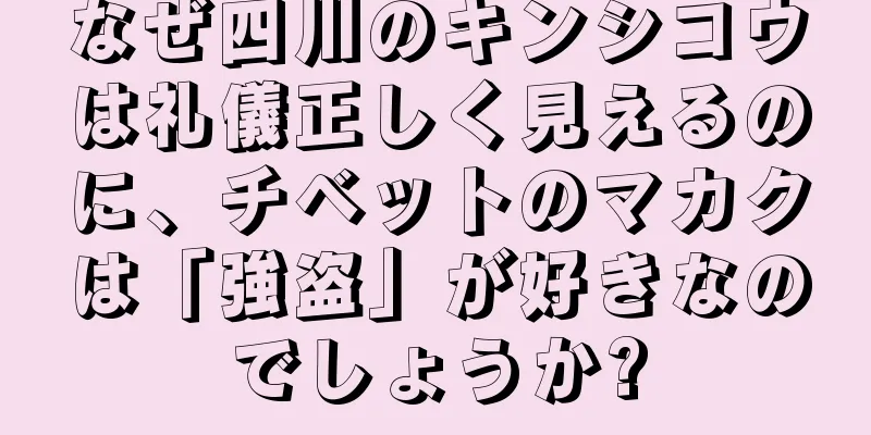 なぜ四川のキンシコウは礼儀正しく見えるのに、チベットのマカクは「強盗」が好きなのでしょうか?