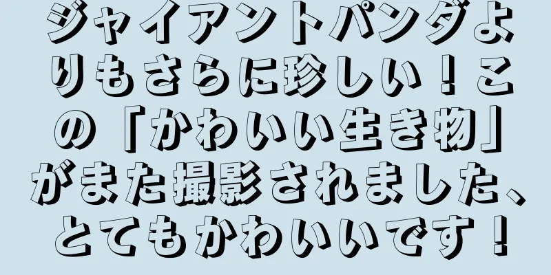 ジャイアントパンダよりもさらに珍しい！この「かわいい生き物」がまた撮影されました、とてもかわいいです！
