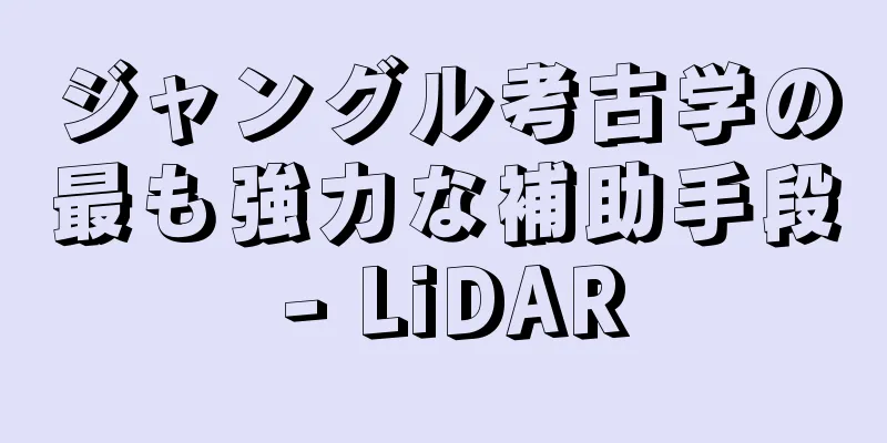 ジャングル考古学の最も強力な補助手段 - LiDAR