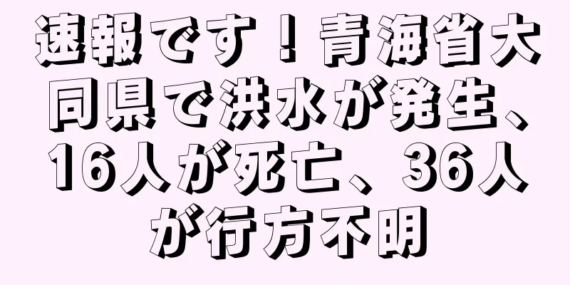速報です！青海省大同県で洪水が発生、16人が死亡、36人が行方不明