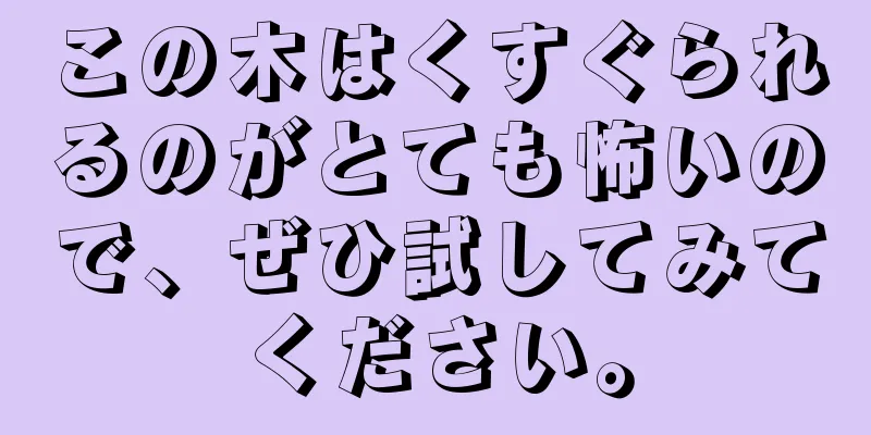 この木はくすぐられるのがとても怖いので、ぜひ試してみてください。