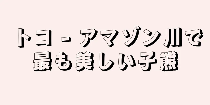 トコ - アマゾン川で最も美しい子熊