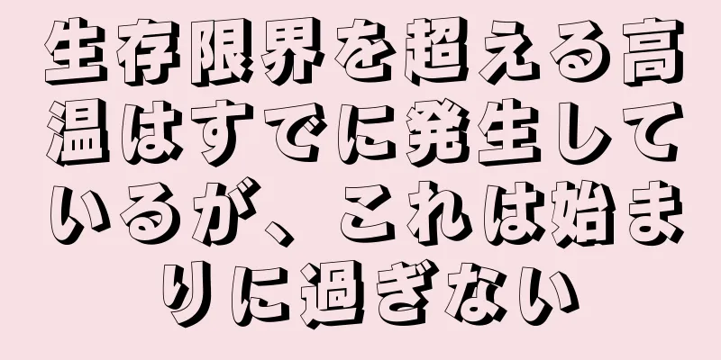 生存限界を超える高温はすでに発生しているが、これは始まりに過ぎない