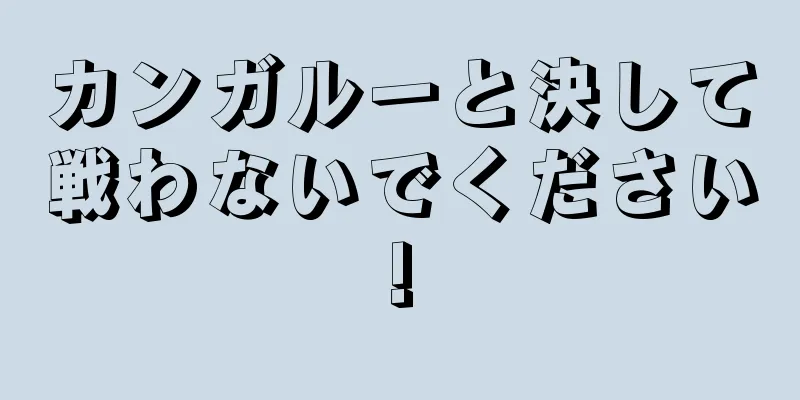 カンガルーと決して戦わないでください!