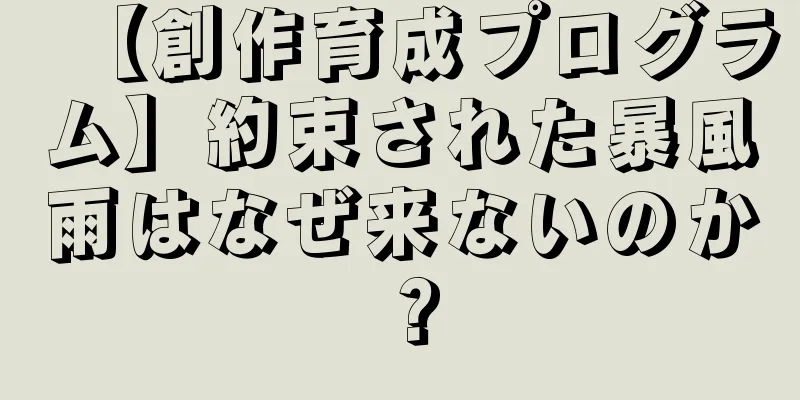 【創作育成プログラム】約束された暴風雨はなぜ来ないのか？