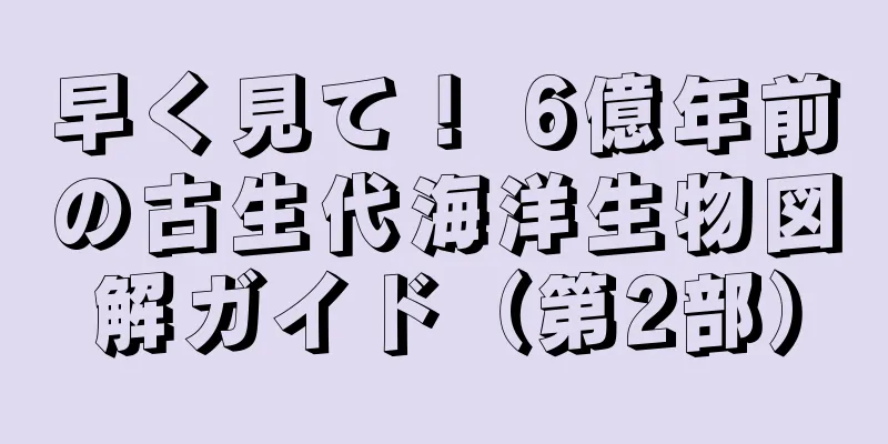 早く見て！ 6億年前の古生代海洋生物図解ガイド（第2部）