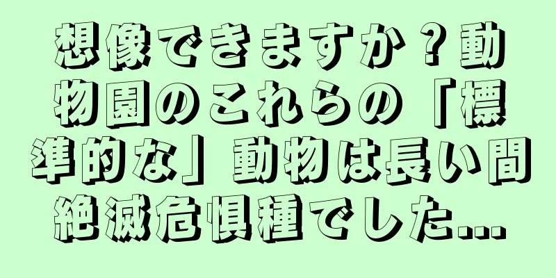 想像できますか？動物園のこれらの「標準的な」動物は長い間絶滅危惧種でした...