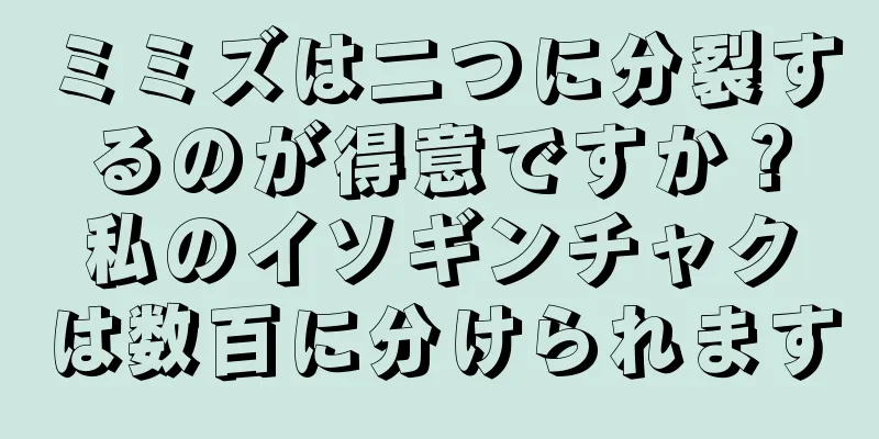 ミミズは二つに分裂するのが得意ですか？私のイソギンチャクは数百に分けられます