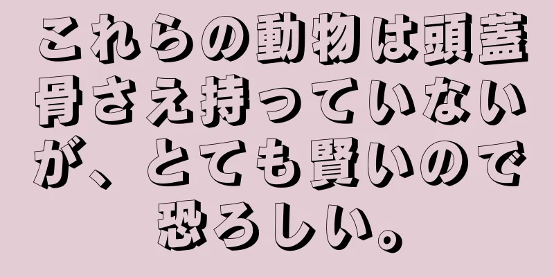これらの動物は頭蓋骨さえ持っていないが、とても賢いので恐ろしい。