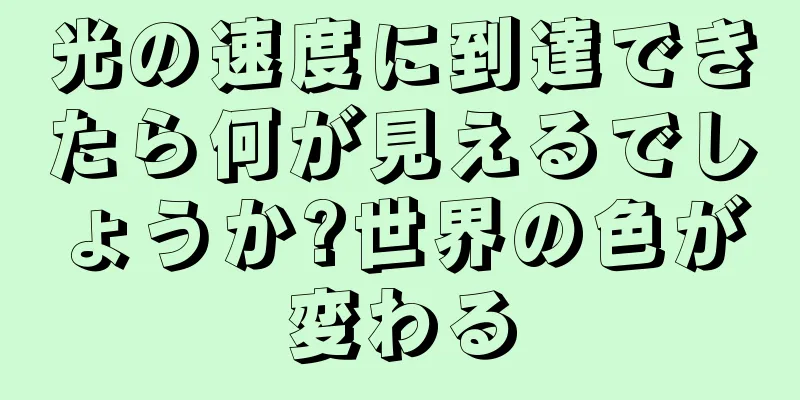 光の速度に到達できたら何が見えるでしょうか?世界の色が変わる