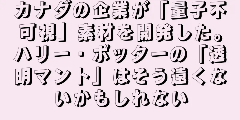 カナダの企業が「量子不可視」素材を開発した。ハリー・ポッターの「透明マント」はそう遠くないかもしれない