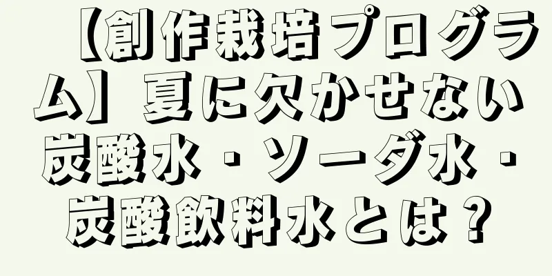 【創作栽培プログラム】夏に欠かせない炭酸水・ソーダ水・炭酸飲料水とは？